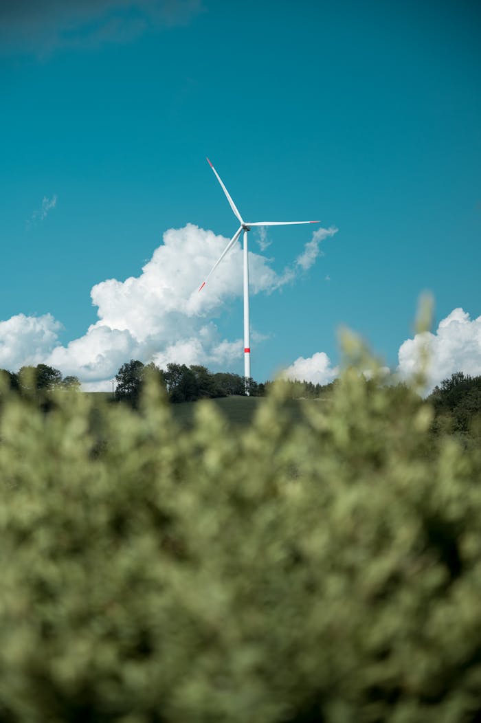 Opportunità del Fondo Nazionale per il Reddito Energetico: Sostegno alle Famiglie in Difficoltà Economica