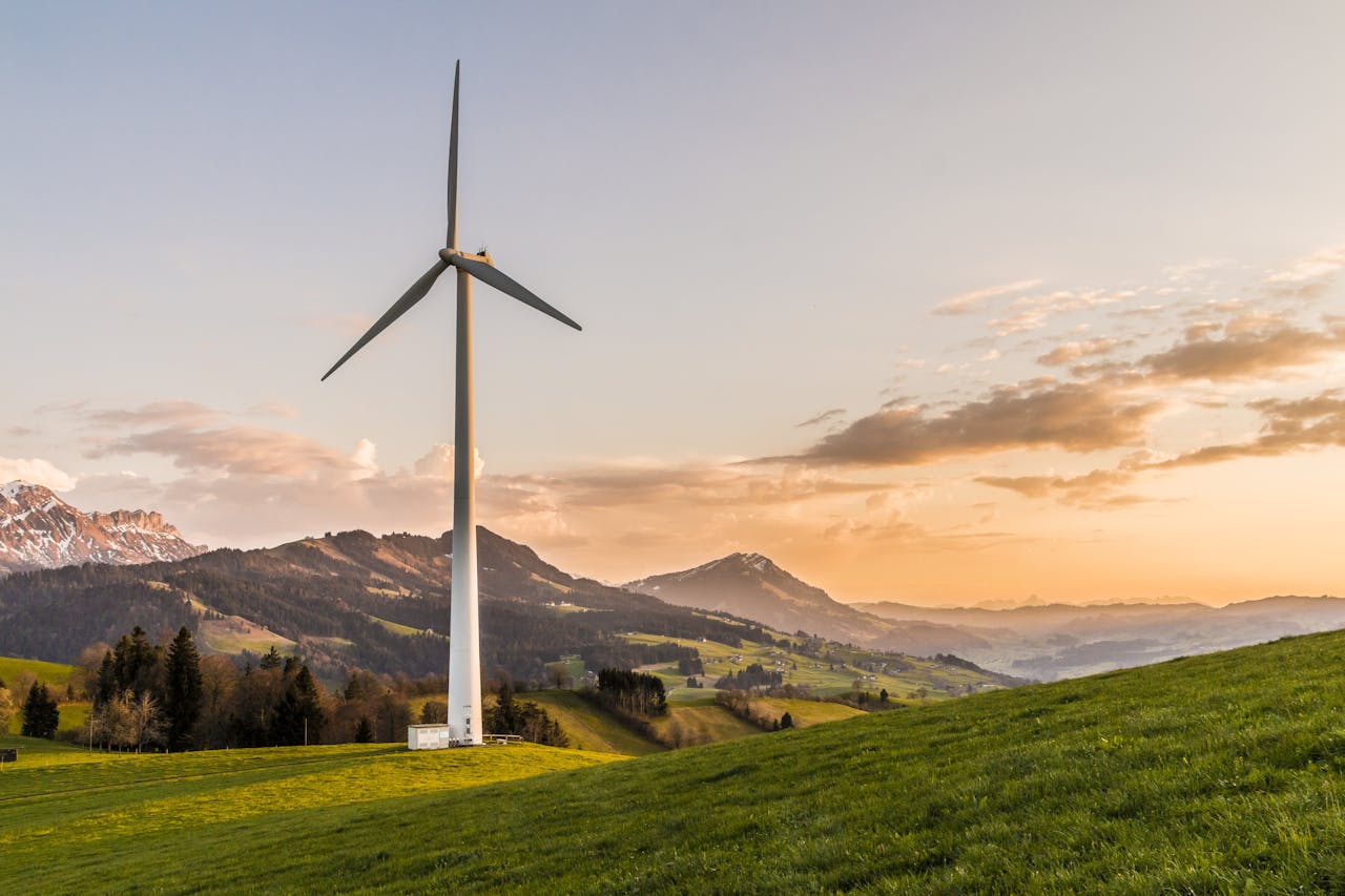 Isole Verdi e Transizione Energetica: Guida alle Soluzioni Sostenibili offerte da Vivo Green